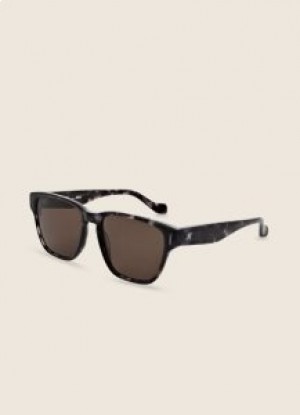  Hackett Clubmaster Tortoiseshell -aurinkolasit miehille