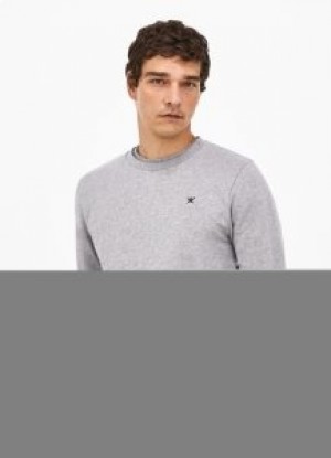  Ανδρικά φούτερ Hackett ανάγλυφο Crew Neck Jumper Ανδρικά Φούτερ Ανοιχτό Γκρι