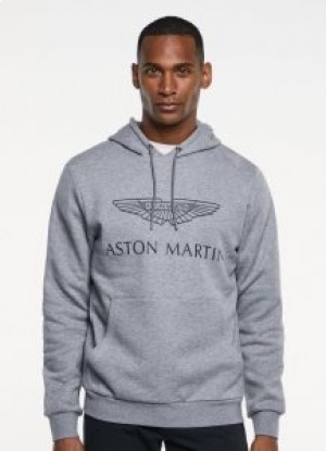  Ανδρικά γκρι φούτερ με Hoodie Logo Hackett Amr