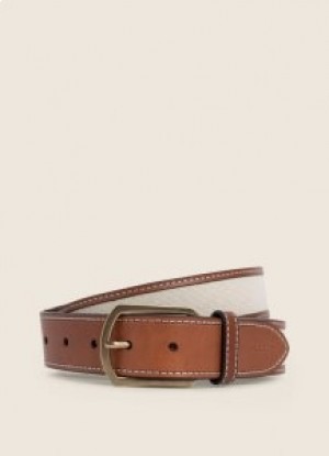 Hackett Canvas Belts Men Beige Brown