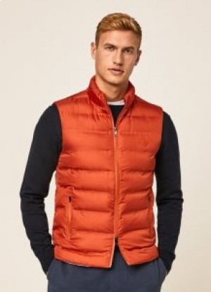  Hackett Slim Fit Colete Acolchoado Masculino