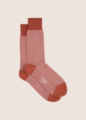  Meias Hackett Bird Eye Masculinas