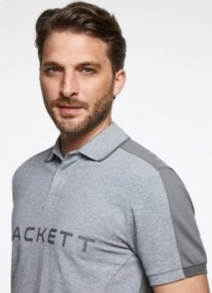  Hackett Slim Fit Logo Kortærmet Polo Shirt Mænd Grå